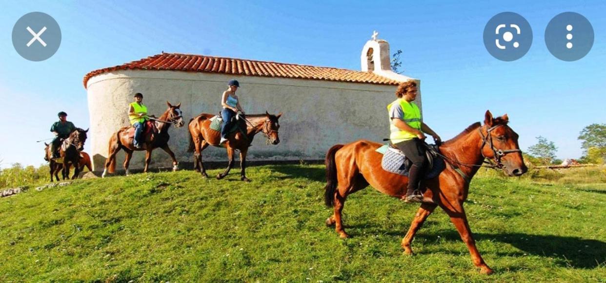 Villa Panta Zadar Luaran gambar